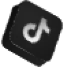 tiktok logo